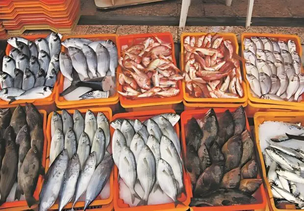 Algérie-Mauritanie : la 1ʳᵉ cargaison de poisson mauritanien débarque dans cette wilaya