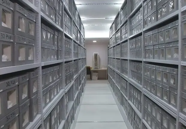 Biens culturels pillés : la France lance un projet de loi pour faciliter leur restitution