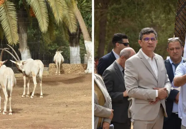 Bientôt un parc Safari à Alger : Le zoo de Ben Aknoun se réinvente