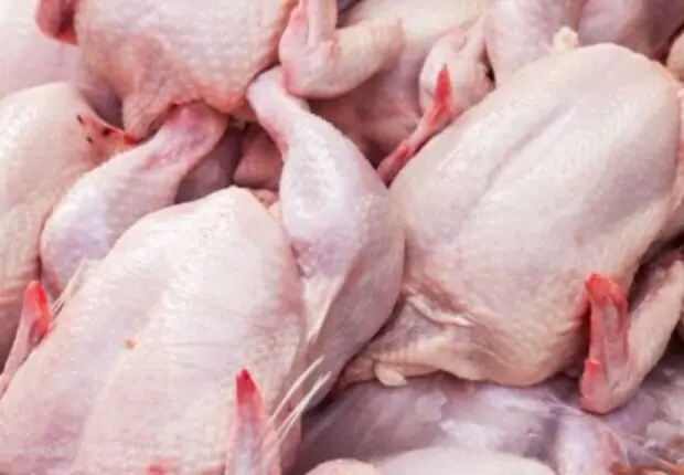 Le marché de la volaille en Algérie : une flambée des prix du poulet inquiète les consommateurs