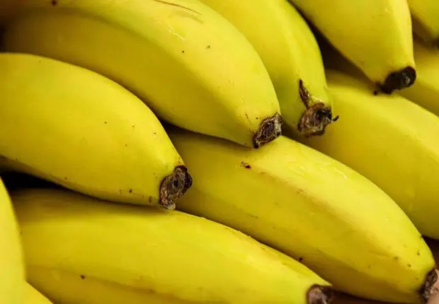 Deux spéculateurs sur la banane lourdement condamnés à Oran