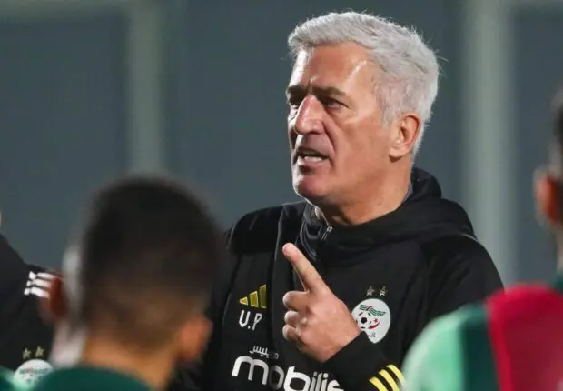 CAF Awards 2025 : L’Instance africaine snobe Petkovic et Amoura
