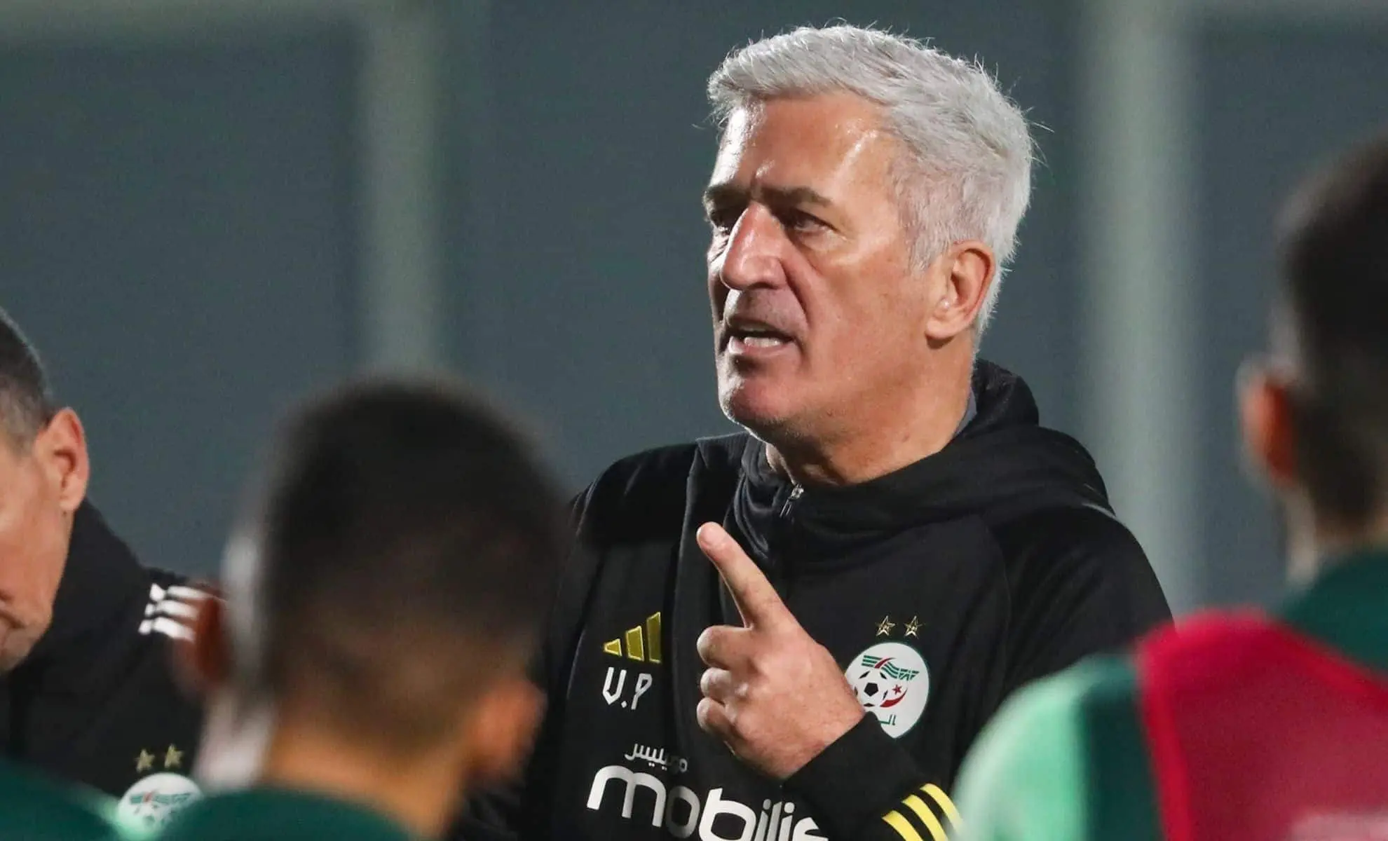 Equipe d’Algérie : Les nouveautés de Petkovic pour le prochain stage