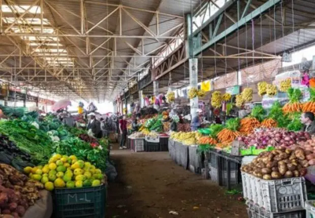 Prix et disponibilité des produits : un outil numérique pour anticiper les fluctuations