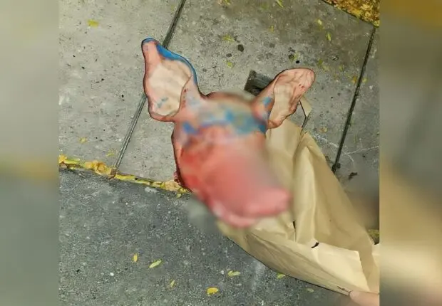 Têtes de cochon devant des mosquées en France : de nouvelles révélations dans l’affaire