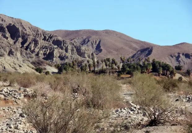 La Californie voulait sa Biskra : le rêve inachevé d’une oasis saharienne
