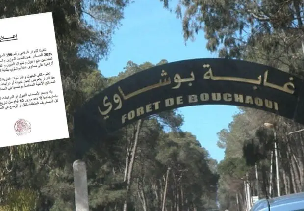 Forêt de Bouchaoui : ce type de véhicule désormais interdits d’accès