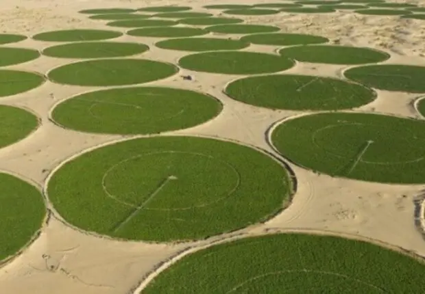 Timimoun : le méga-projet céréalier algéro-italien entre en phase active