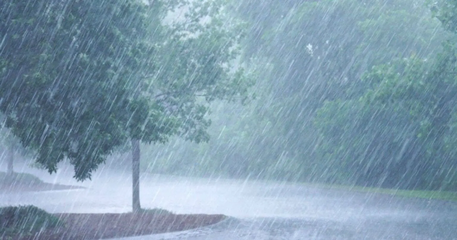 Météo Algérie : pluies, orages et vents au programme ce mercredi 29 octobre