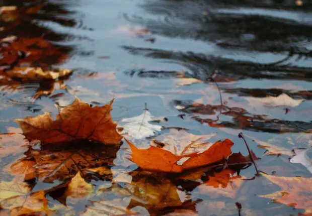 Météo du mardi 21 octobre : temps globalement stable, mais vigilance jaune dans cette wilaya !