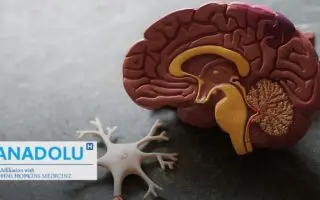 Comprendre la paralysie cérébrale : Causes et prise en charge de cette affection pédiatrique