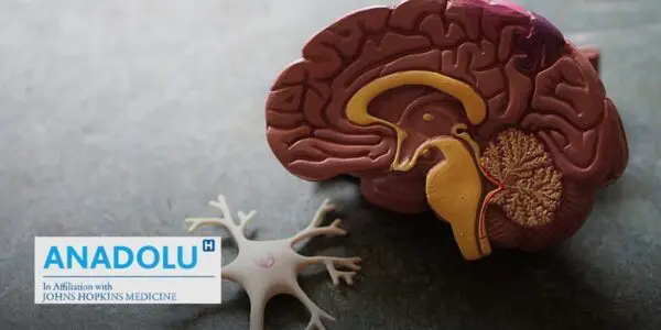 Comprendre la paralysie cérébrale : Causes et prise en charge de cette affection pédiatrique