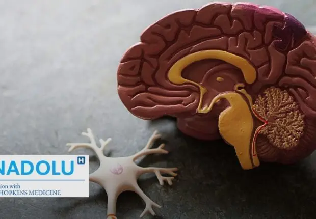 Comprendre la paralysie cérébrale : Causes et prise en charge de cette affection pédiatrique