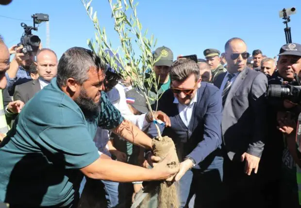 Mission accomplie : le succès phénoménal du défi « un million d’arbres » pour une Algérie verte