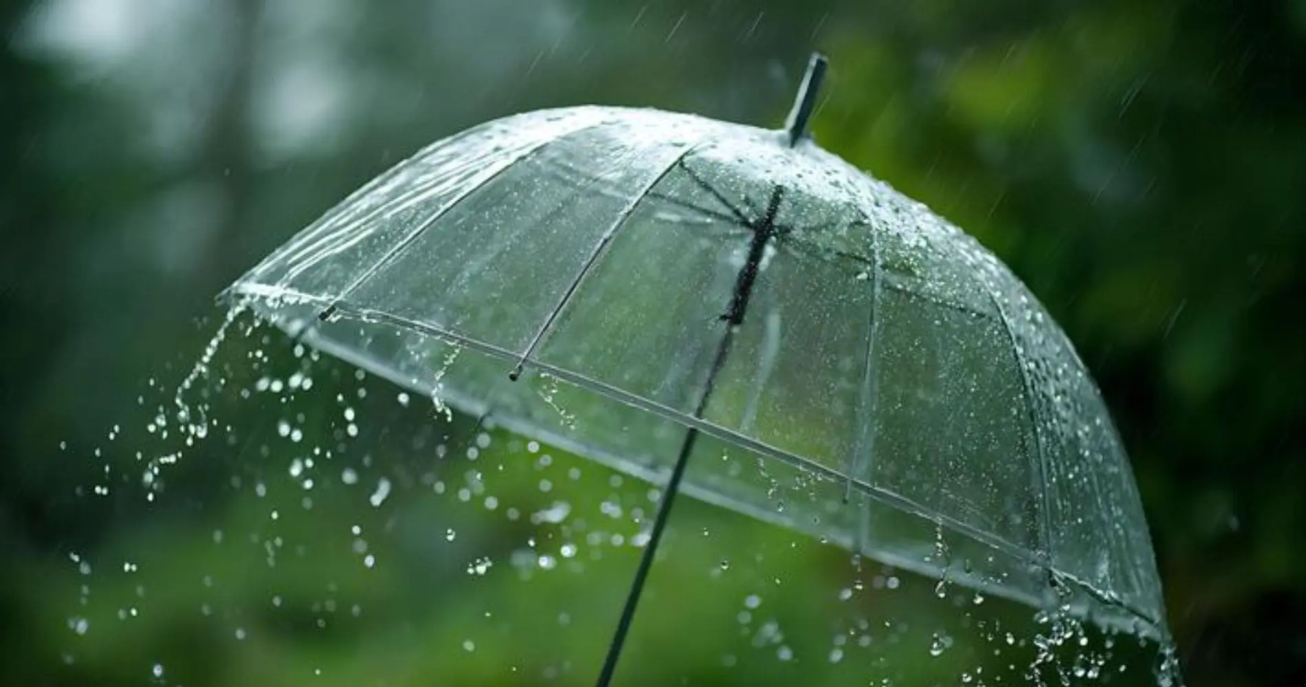 Alerte météo en Algérie : vigilance jaune « pluies » et « orages » dans plusieurs wilayas ce 9 octobre