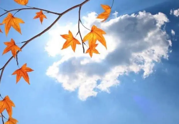 Prévisions météo du jeudi 2 octobre : faut-il s’attendre à la persistance des pluies orageuses ?