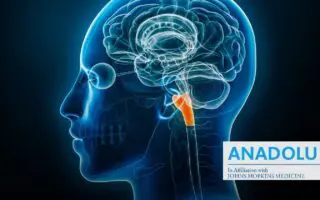 Tumeur du tronc cérébral : reconnaître les signes neurologiques