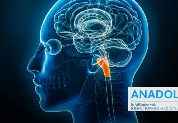 Tumeur du tronc cérébral : reconnaître les signes neurologiques
