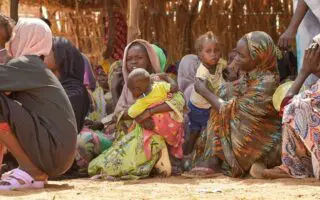 Crise au Soudan : l’Algérie appelle à une réponse internationale face aux atrocités d’El-Fasher