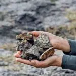 Lithium du Hoggar : le tandem Arkab – Adjal élabore un plan de bataille pour débloquer le projet