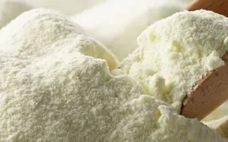 Lait en poudre : Après Baladna, l’Algérie vise un nouveau partenariat avec ce pays européen