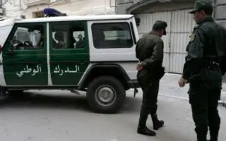 « À deux pas de l’abattoir »… Ce que la gendarmerie a intercepté dans ce Hilux va vous révolter