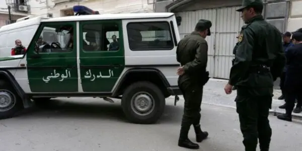 « À deux pas de l’abattoir »… Ce que la gendarmerie a intercepté dans ce Hilux va vous révolter