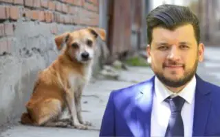 Victoire historique pour les défenseurs des animaux : Yacine Oualid dit #StopGaloufa