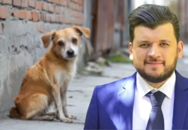 Victoire historique pour les défenseurs des animaux : Yacine Oualid dit #StopGaloufa