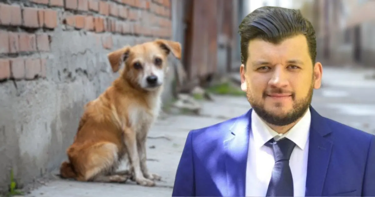 Victoire historique pour les défenseurs des animaux : Yacine Oualid dit #StopGaloufa