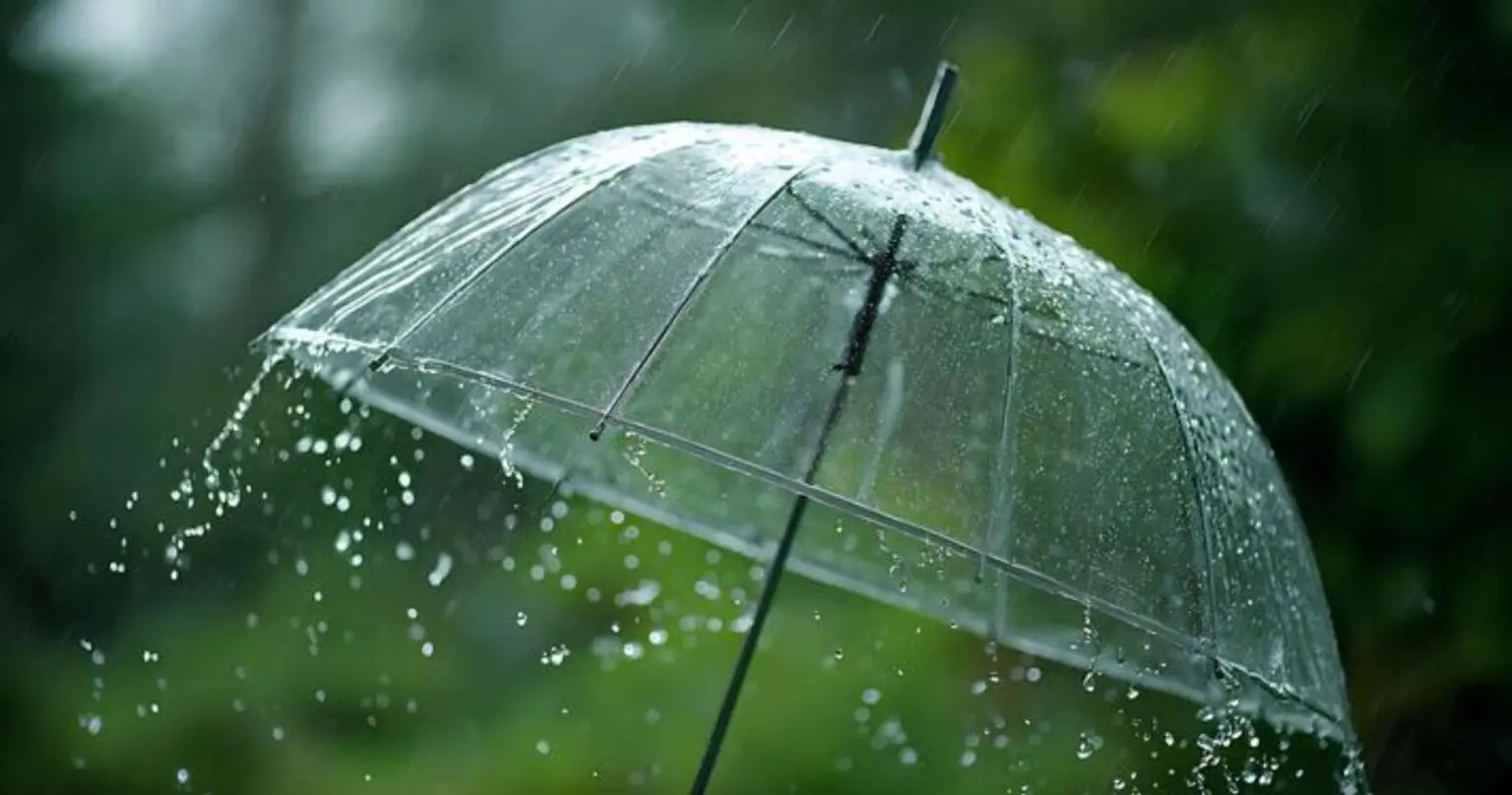 BMS – Météo Algérie : fortes pluies et vigilance « orange » dans plusieurs régions ce 8 novembre