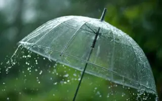 BMS – Météo Algérie : fortes pluies et vigilance « orange » dans plusieurs régions ce 8 novembre
