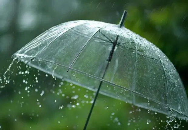BMS – Météo Algérie : fortes pluies et vigilance « orange » dans plusieurs régions ce 8 novembre