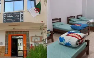 Incendies en Algérie : ces foyers de jeunes ouvrent leurs portes aux sinistrés