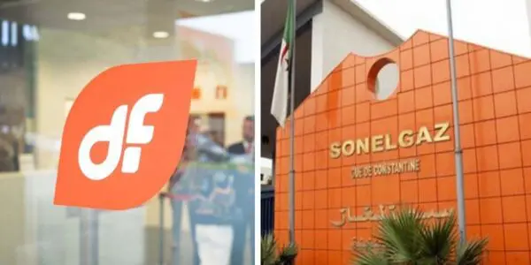 Sonelgaz récupère 54,8 millions € après des années de litige : l’Espagnol DF tombe des nues