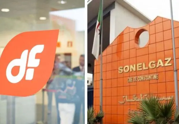 Sonelgaz récupère 54,8 millions € après des années de litige : l’Espagnol DF tombe des nues