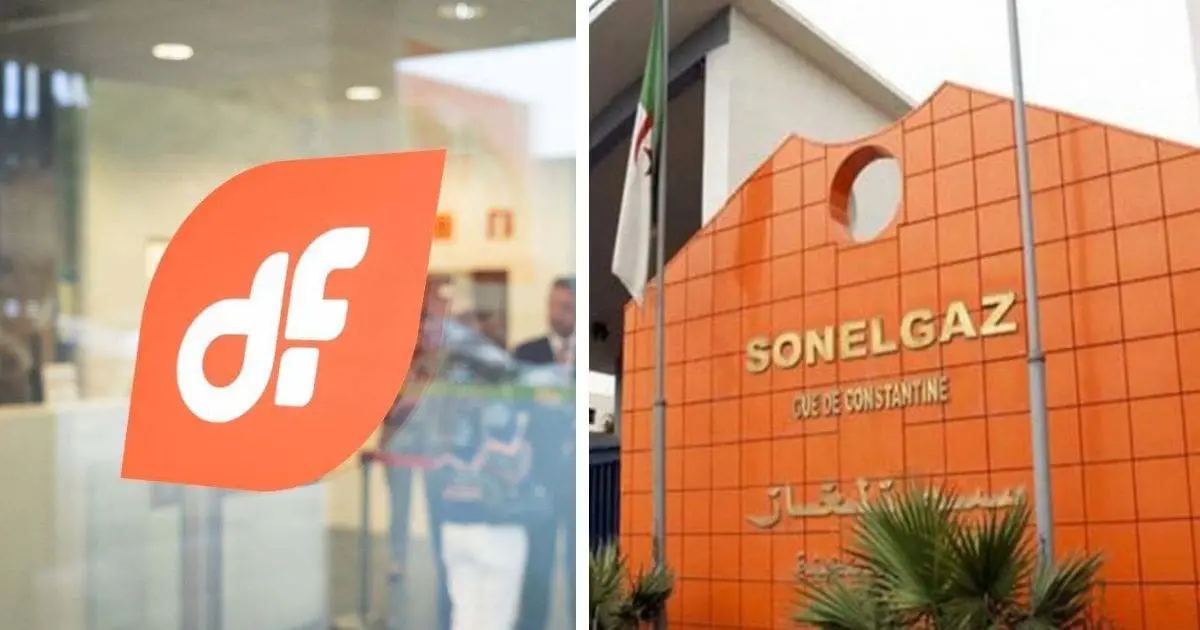 Sonelgaz récupère 54,8 millions € après des années de litige : l’Espagnol DF tombe des nues