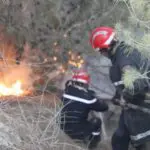 Feux de forêt : 29 incendies en 24 heures, la Protection civile en alerte maximale