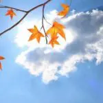 Le temps en Algérie ce lundi 10 novembre : que nous réservent les prévisions météo du jour ?