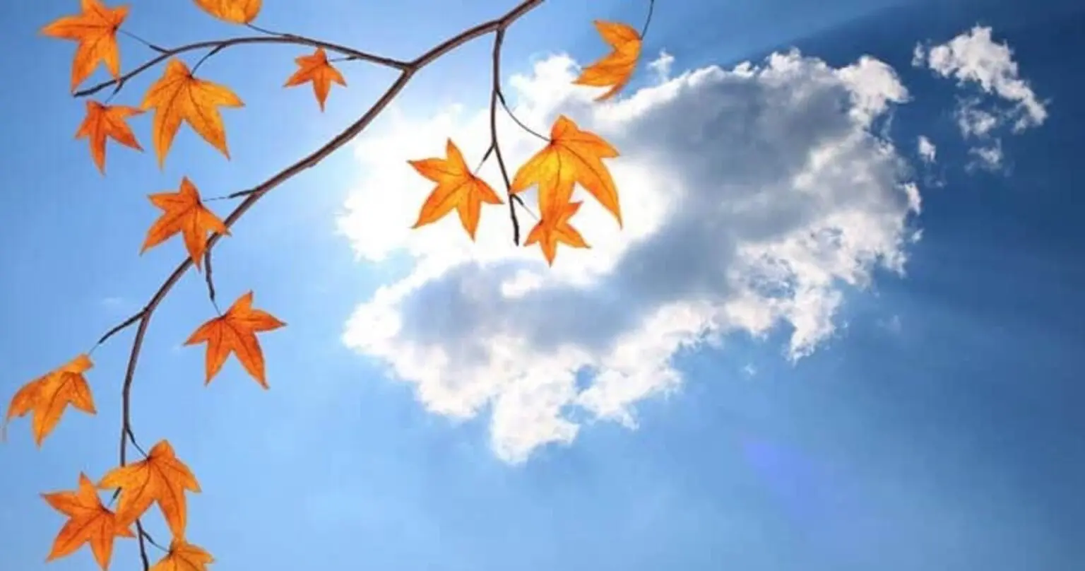 Le temps en Algérie ce lundi 10 novembre : que nous réservent les prévisions météo du jour ?