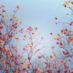 Prévisions météo en Algérie : quel temps fera-t-il ce mercredi 5 novembre ?