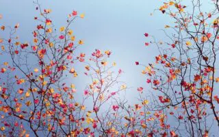 Prévisions météo en Algérie : quel temps fera-t-il ce mercredi 5 novembre ?