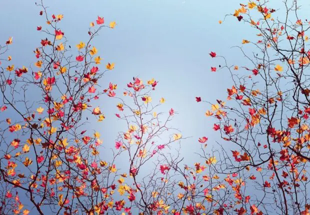 Prévisions météo en Algérie : quel temps fera-t-il ce mercredi 5 novembre ?