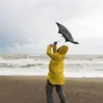 Alerte météo en Algérie : fortes pluies attendues sur plusieurs régions ce vendredi 7 novembre