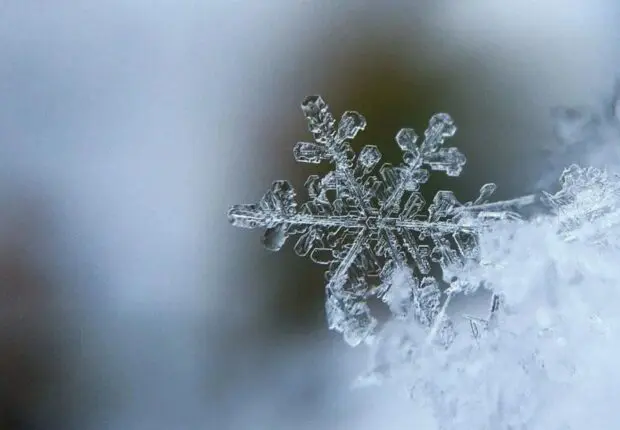 Prévisions météo en Algérie ce 19 novembre : pluies, orages, brouillard et chutes de neiges au programme