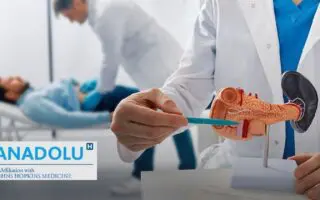 Comprendre la pancréatite (aiguë et chronique) : causes, symptômes et traitement