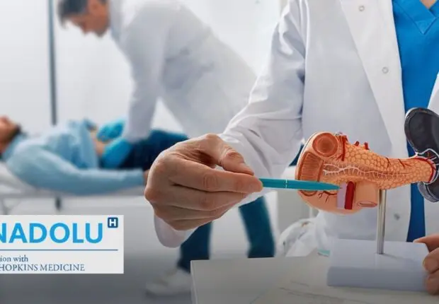 Comprendre la pancréatite (aiguë et chronique) : causes, symptômes et traitement