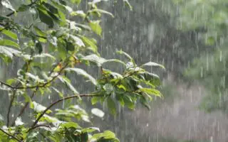 Alerte météo en Algérie : fortes pluies au rendez-vous ce lundi 3 novembre !