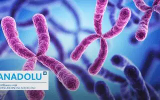 Qu’est-ce que le syndrome de Klinefelter ? comprendre ses symptômes et ses traitements