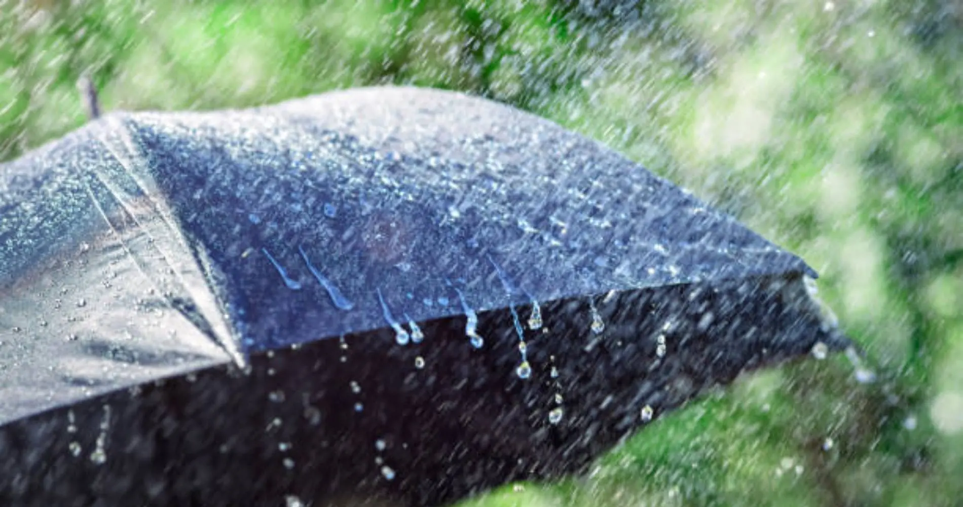 Temps automnal en Algérie : persistance des pluies dans plusieurs régions ce mardi 18 novembre